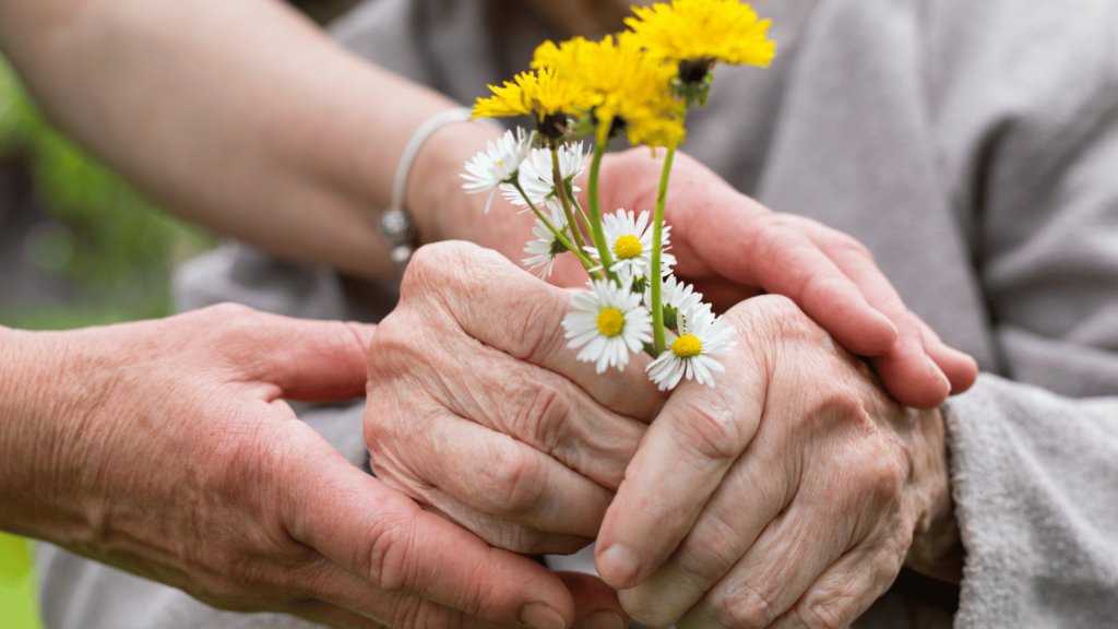 טיפול בסוף חיים